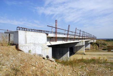 Autostrada în Bihor, drumul scump al nepăsării (FOTO)